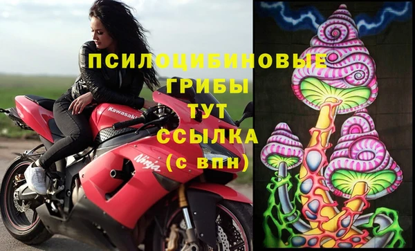 ПСИЛОЦИБИНОВЫЕ ГРИБЫ Вязьма