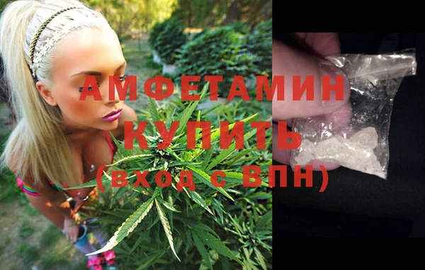 ПСИЛОЦИБИНОВЫЕ ГРИБЫ Вязьма