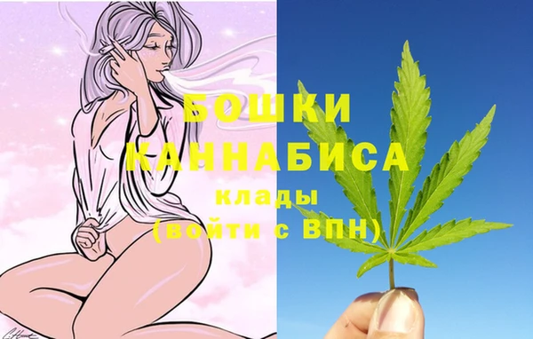 ПСИЛОЦИБИНОВЫЕ ГРИБЫ Вязьма