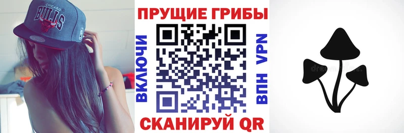Псилоцибиновые грибы Magic Shrooms  цены наркотик  Липецк 